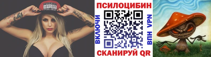 где продают   ОМГ ОМГ как зайти  Галлюциногенные грибы Cubensis  Анжеро-Судженск 