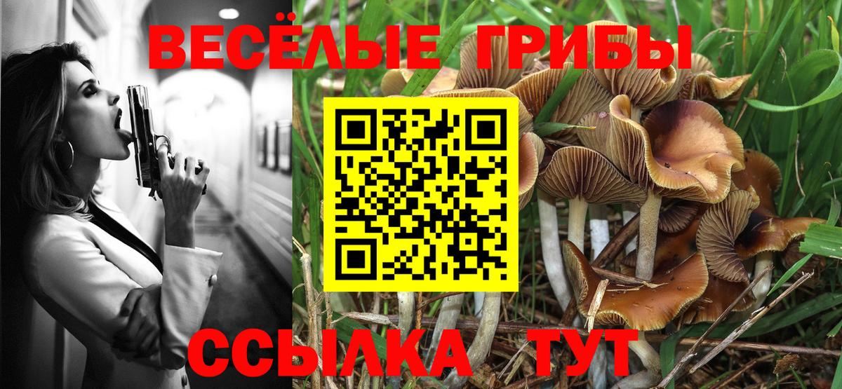 Псилоцибиновые грибы прущие грибы  Вход с VPN  Анжеро-Судженск 