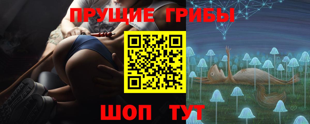 Псилоцибиновые грибы Psilocybine cubensis Анжеро-Судженск